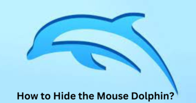 How to Hide the Mouse Dolphin?